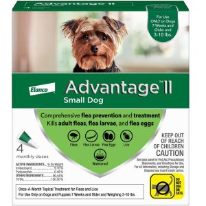 Advantage II Small Dogs 3-10 lbs.|Vet-Recommended Flea Treatment & Prevention|4-Month Supply
